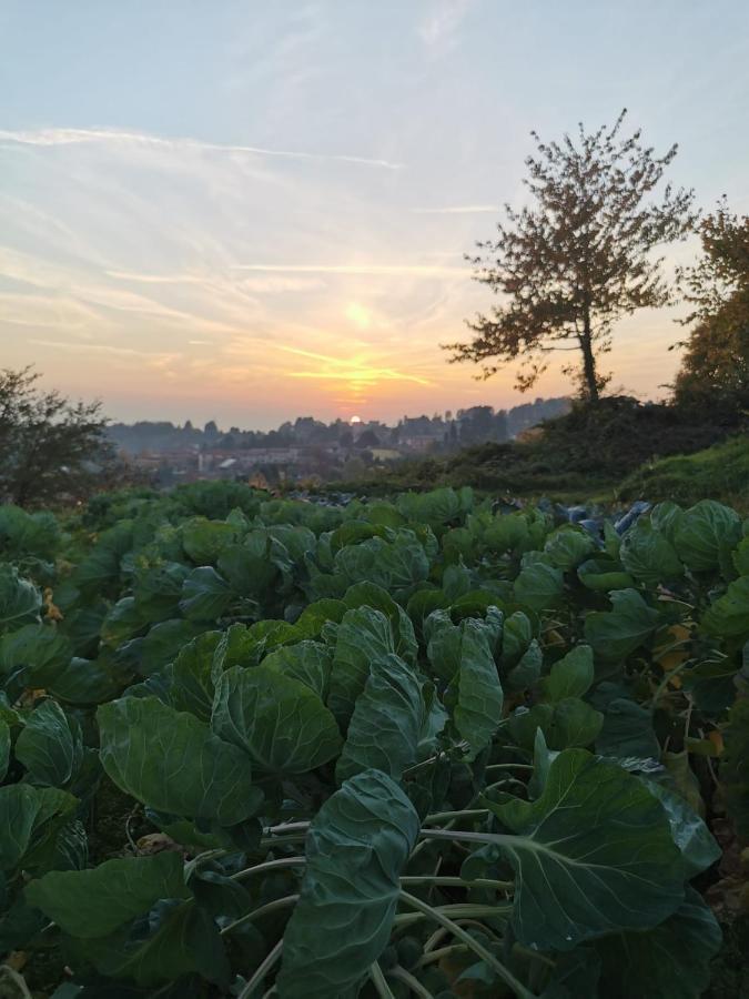 Agriturismo Teresa Delle Fragole Vigano Экстерьер фото
