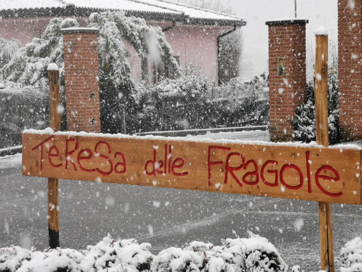 Agriturismo Teresa Delle Fragole Vigano Экстерьер фото